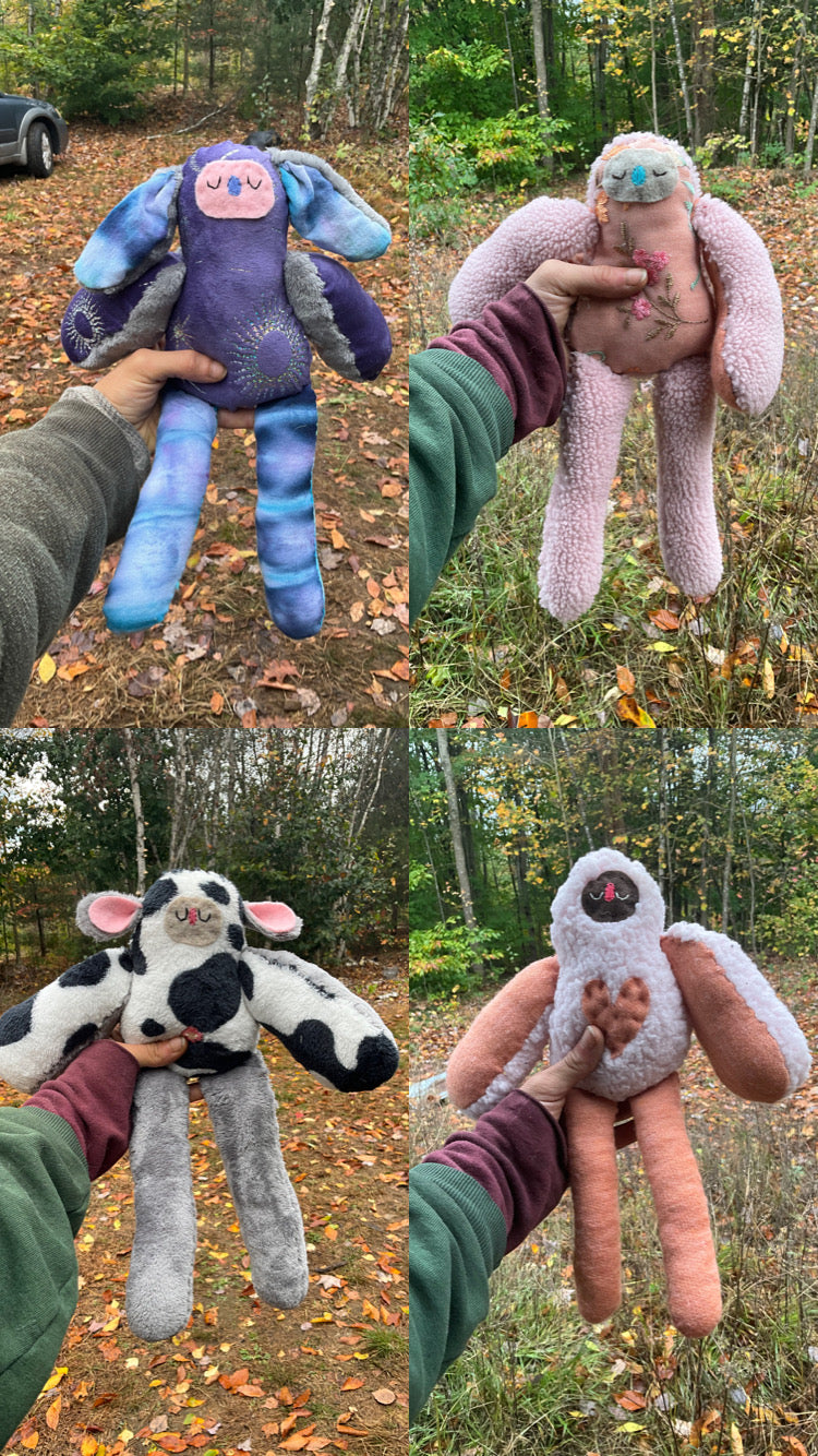 Custom Bird plushy