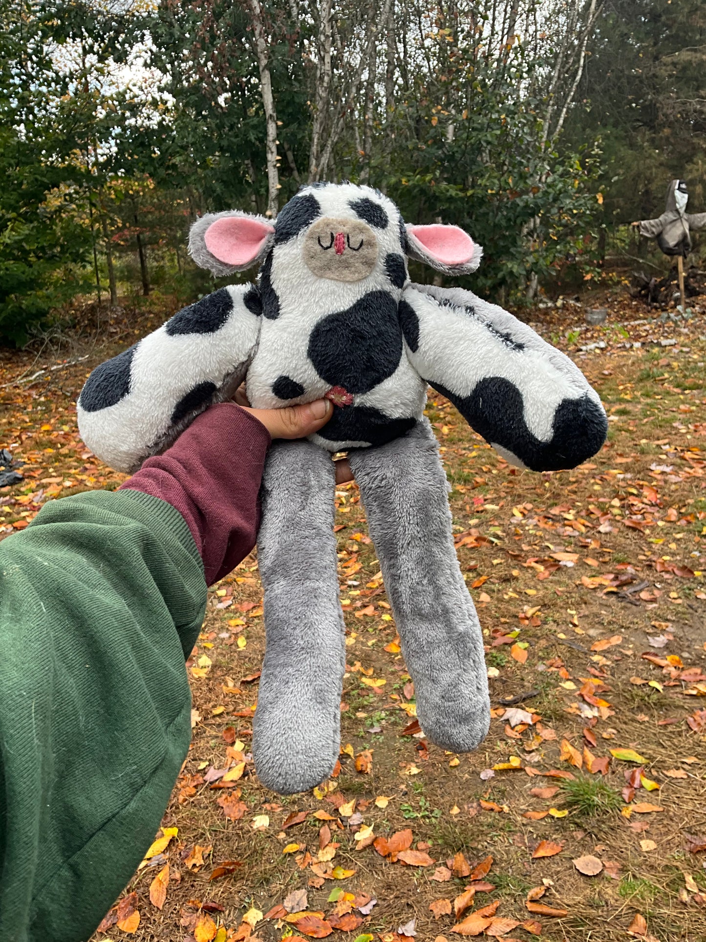 Custom Bird plushy