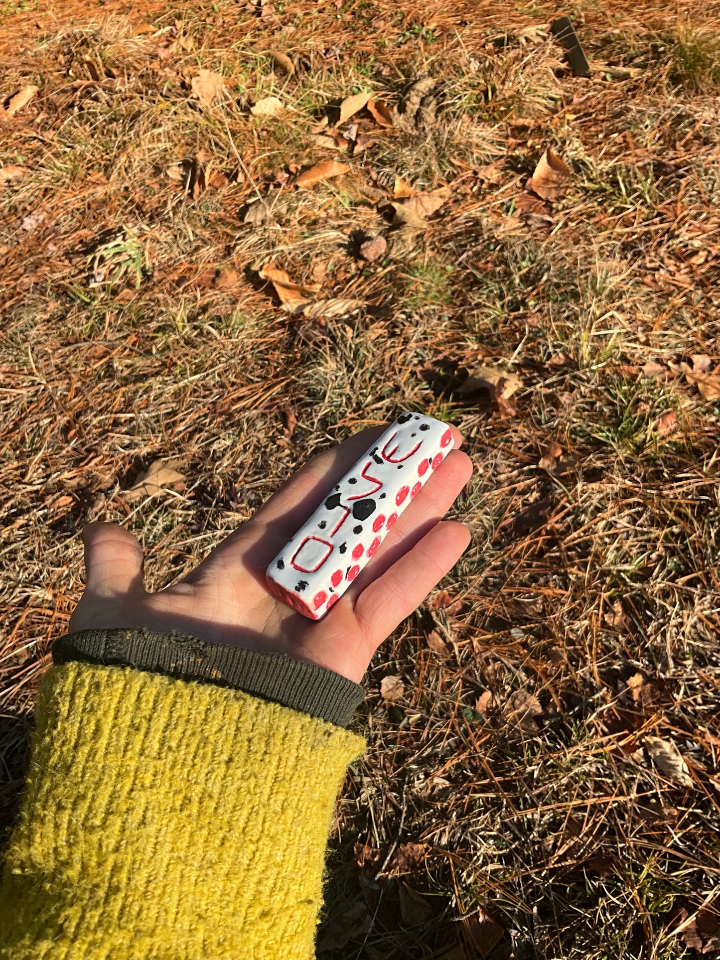 Mezuzah Shalom dalmation